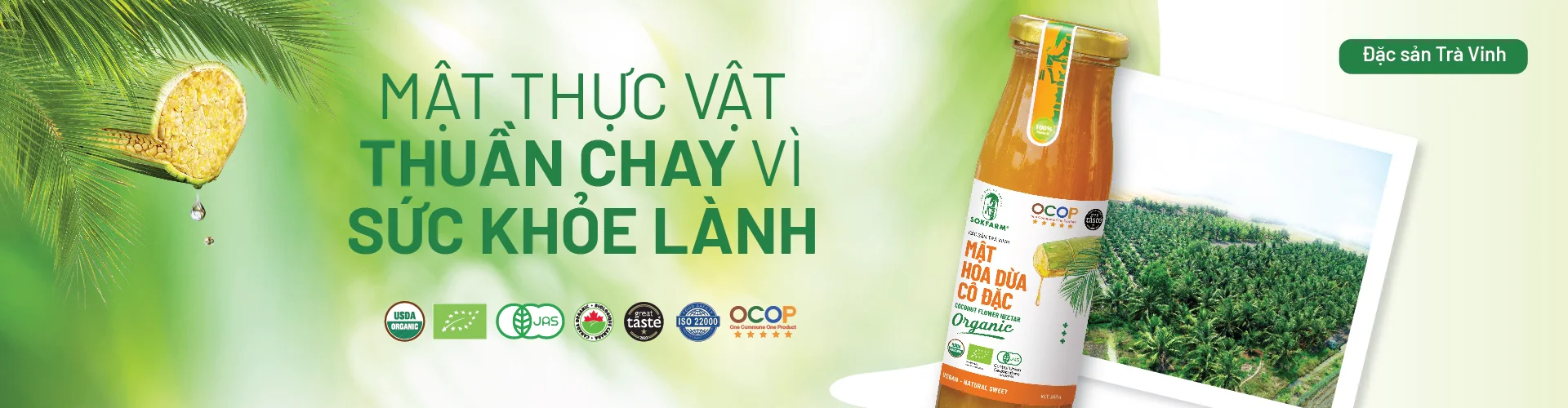 freSy with passion - Mật hoa dừa cô đặc organic Sokfarm 250g